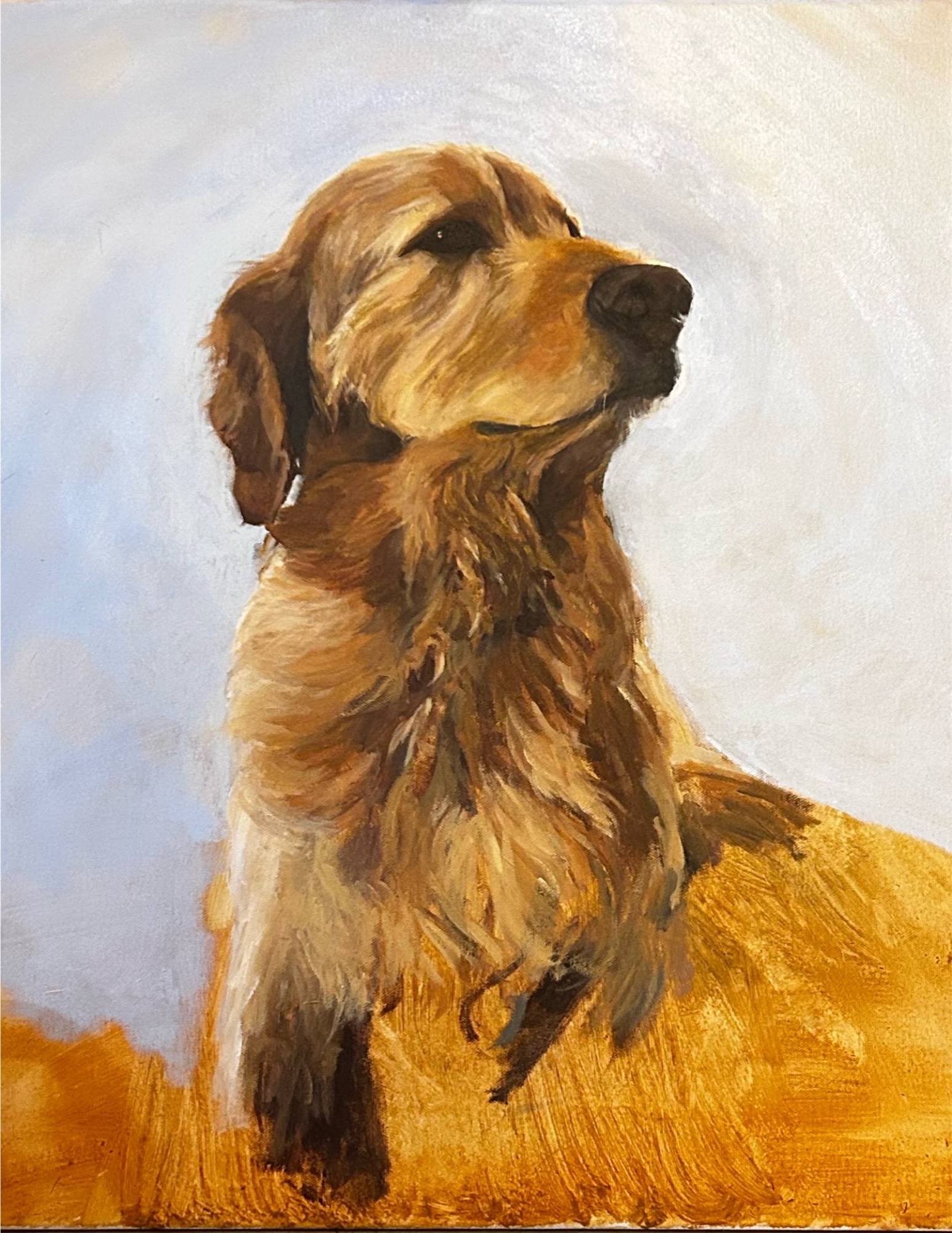 Golden retriever portrait, acrylic on canvas