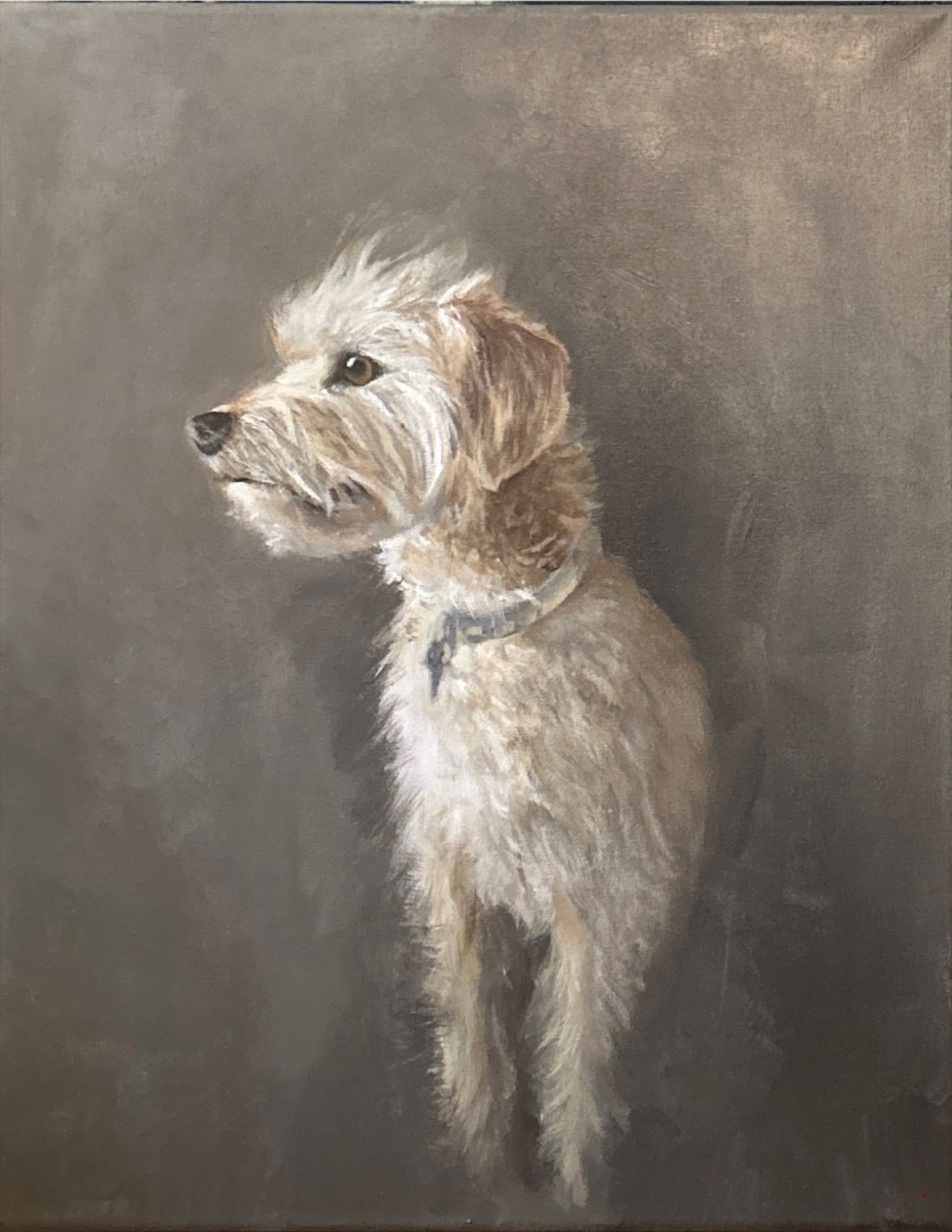White terrier portrait against grey ground